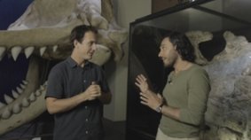 ¿Qué vino primero, el huevo o la gallina?