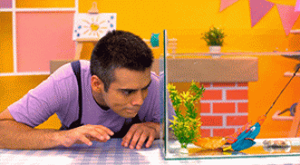 ¿Por qué se arrugan nuestros dedos en el agua?