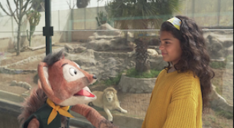 Los leones y cómo afrontar el rechazo