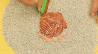 Fósiles fantásticos