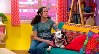 Hacemos casitas para perros con prismas y pirámides