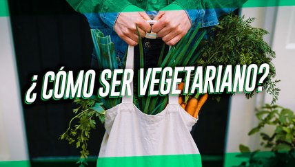 Opciones para iniciarte en el vegetarianismo sin sufrir