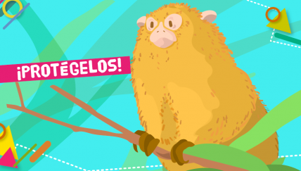 Los animales silvestres no son mascotas