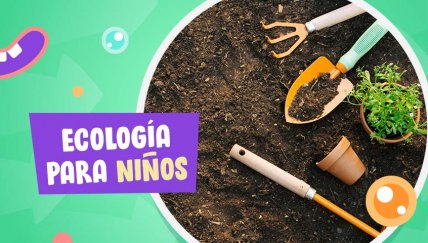 ¡Aprende cómo hacer compost en casa con tus hijos!