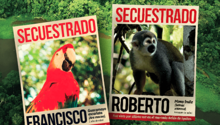 Temporada de circos: ¿Qué hacer si encuentro un animal silvestre en una función?
