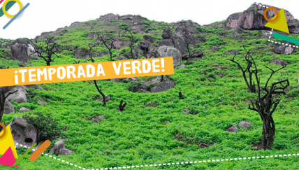 ¡Escape hacia las lomas!