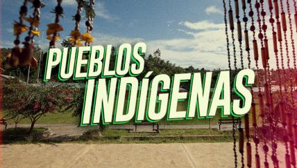 ¿Cuánto sabes de nuestros pueblos indígenas u originarios? Descúbrelo con este test