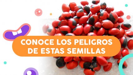 ¡No le pongas una pulsera con huayruros a tu bebé!