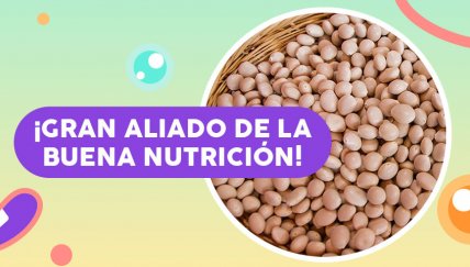 El chocho, la súper leguminosa de los andes que puede acabar con los problemas de anemia de los chicos