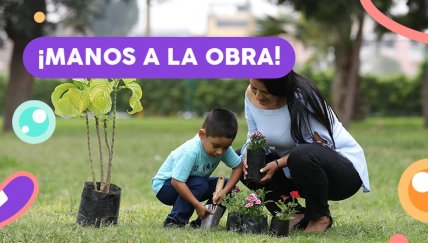 Estos son los vegetales que puedes sembrar con tus hijos en casa