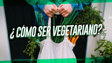 Opciones para iniciarte en el vegetarianismo sin sufrir