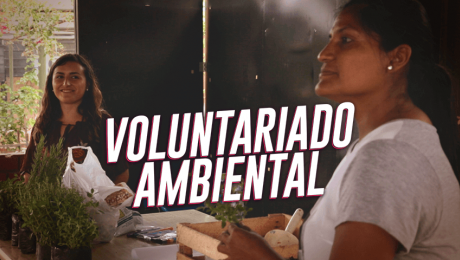 Acción Voluntaria: Munay y su compromiso con el planeta