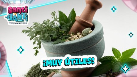 ¿Conocías estas plantas medicinales peruanas? 