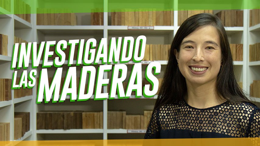 La importancia tecnológica de la madera