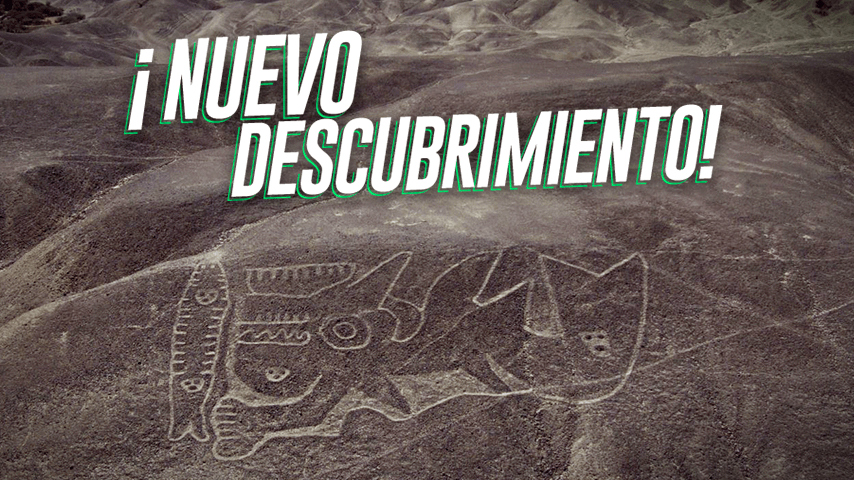 5 datos sobre las nuevas Líneas de Palpa que nos emocionan a todos
