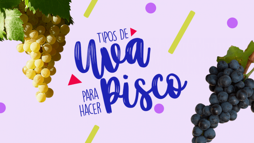 Las uvas pisqueras que se cultivan en nuestro país