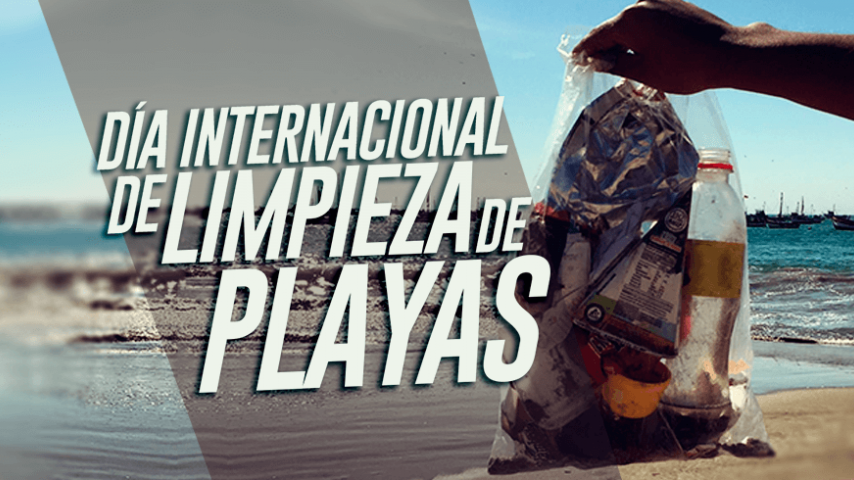 ¿Te animas a limpiar una playa? 