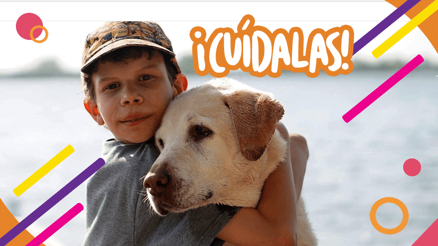 Mascotas en la casa: ¿Cómo enseñarle a los chicos a ser responsables?