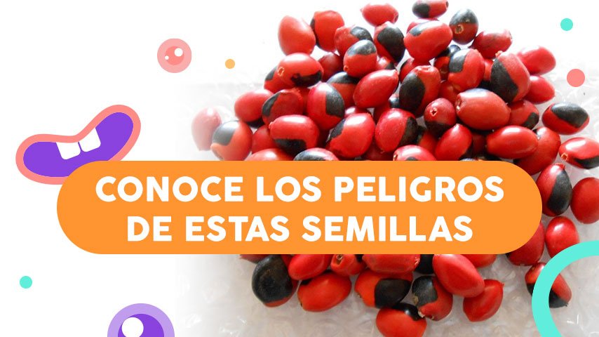 ¡No le pongas una pulsera con huayruros a tu bebé!