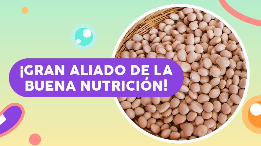 El chocho, la súper leguminosa de los andes que puede acabar con los problemas de anemia de los chicos