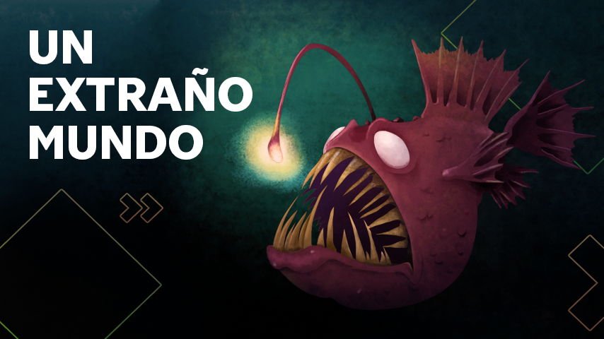 Mundo abisal: esto es lo que puedes encontrar en la parte desconocida del océano 