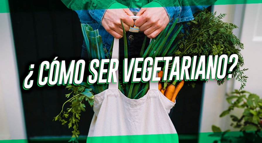 Opciones para iniciarte en el vegetarianismo sin sufrir