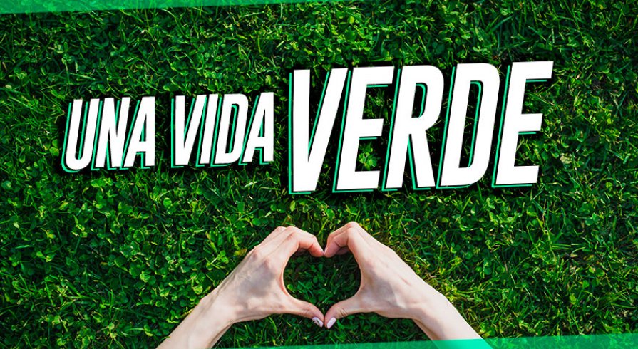 Cómo llevar una vida más sostenible (y feliz) este 2019