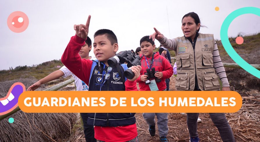 Conoce a los pequeños voluntarios que cuidan los Pantanos de Villa