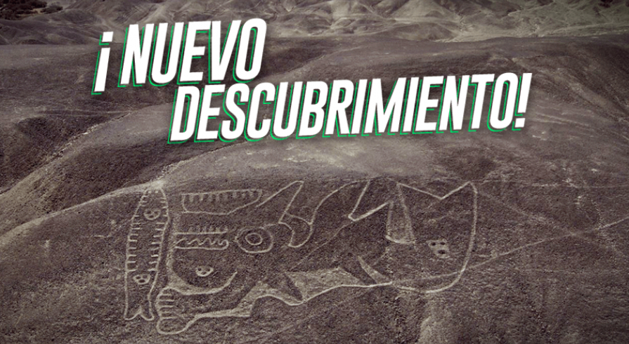 5 datos sobre las nuevas Líneas de Palpa que nos emocionan a todos