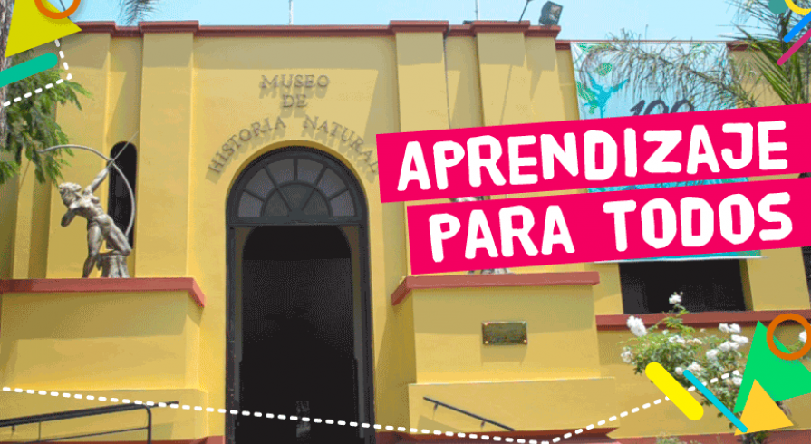 Museo de Historia Natural