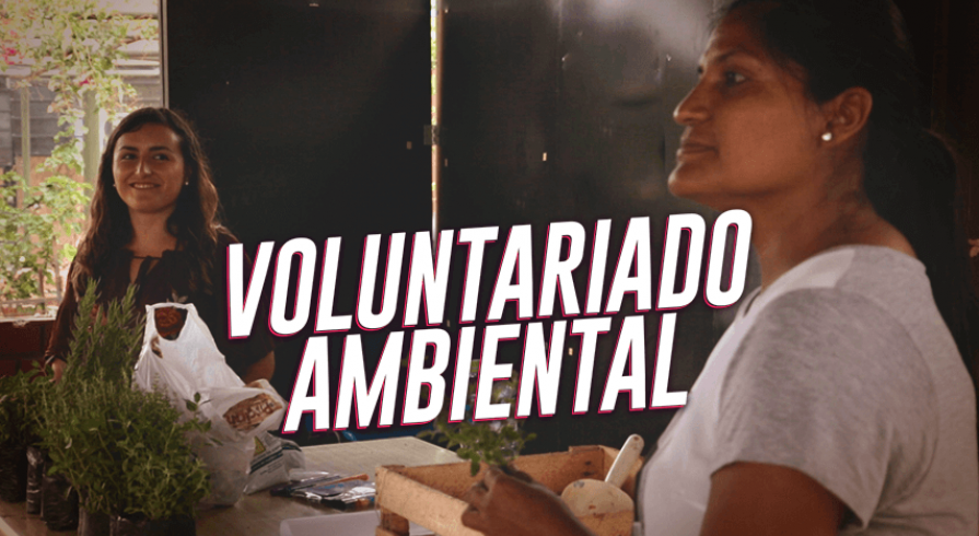 Acción Voluntaria: Munay y su compromiso con el planeta