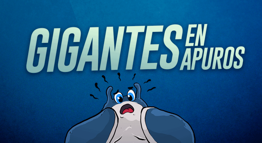 Gigantes en apuros: la conservación de las mantarrayas del Perú