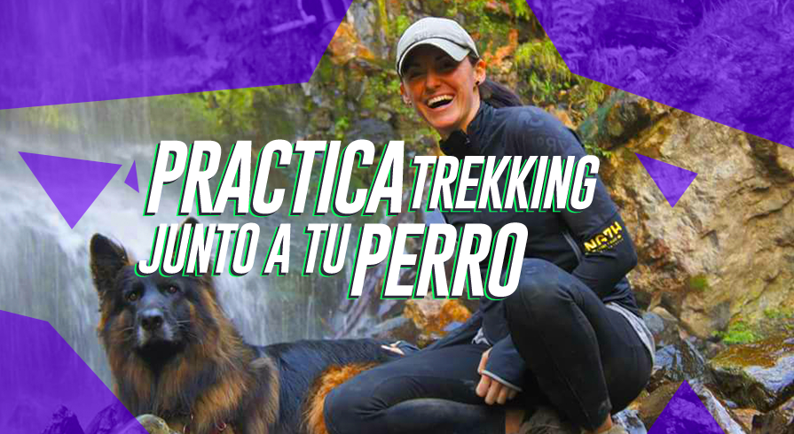 Recorre estos sitios turísticos junto a tu perro