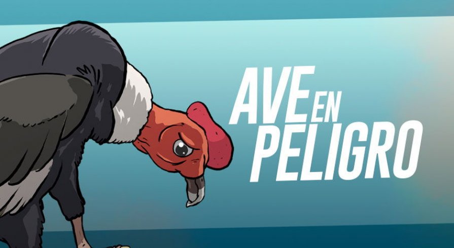 Cóndor Andino: el amo de los cielos en peligro