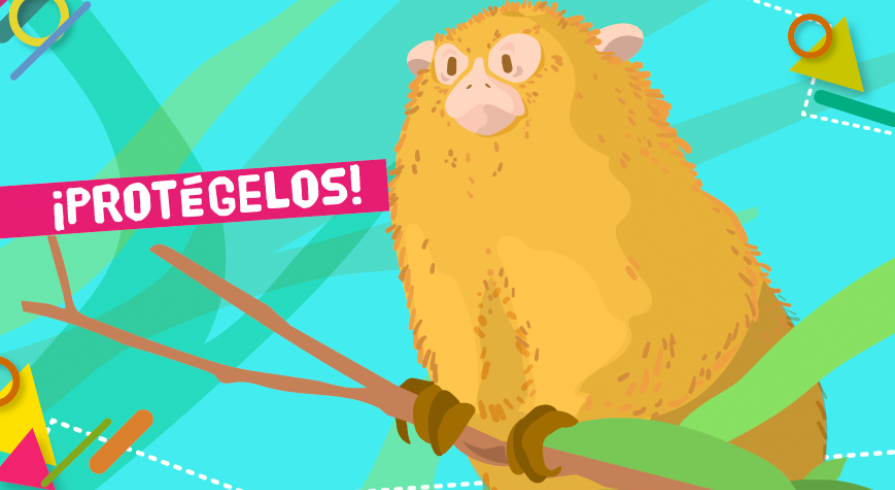 Los animales silvestres no son mascotas