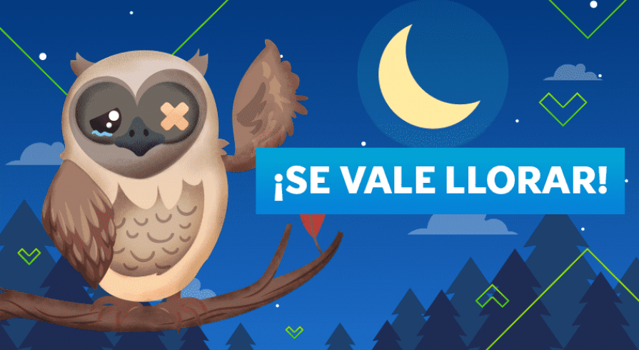 Piratita: la historia de un búho rescatado
