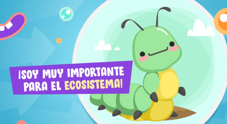 ¡Enseñemos a los chicos a cuidar a las oruguitas!