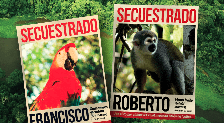 Temporada de circos: ¿Qué hacer si encuentro un animal silvestre en una función?