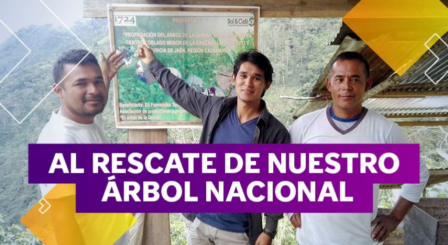 Franklin Fernández, el talento cajamarquino que quiere salvar el árbol de la quina