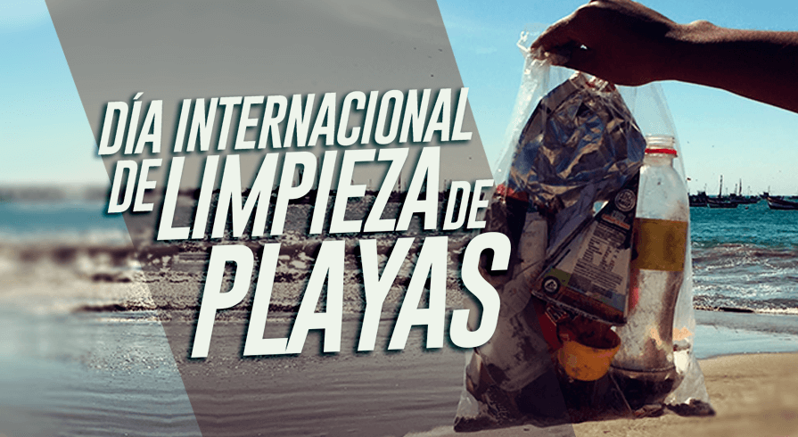 ¿Te animas a limpiar una playa? 