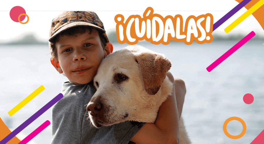 Mascotas en la casa: ¿Cómo enseñarle a los chicos a ser responsables?