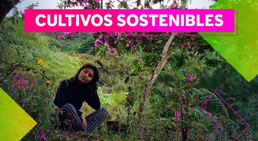 Ella trabaja para que nuestras plantas medicinales no se extingan
