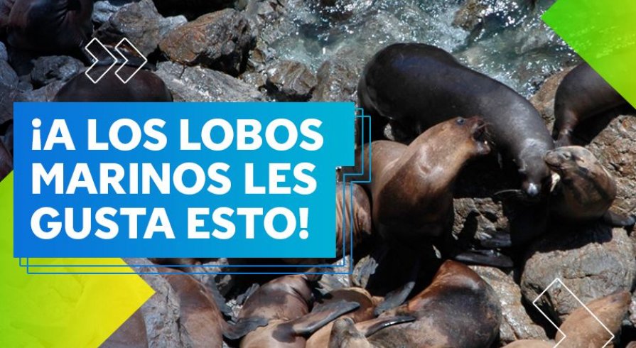 ¡Se viene la Reserva Nacional Dorsal de Nasca!