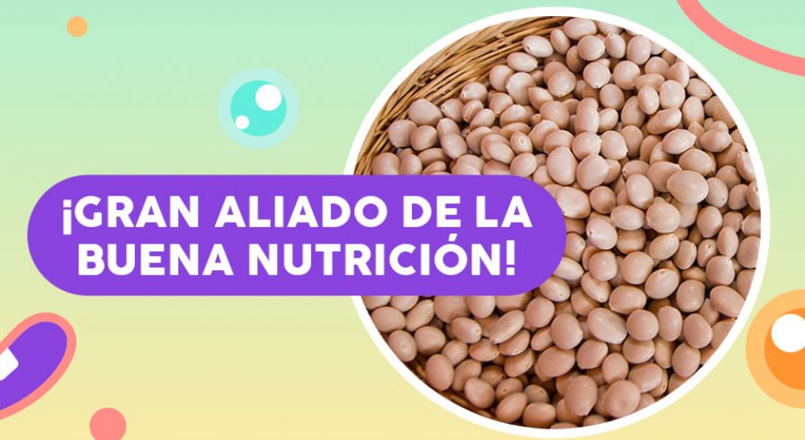 El chocho, la súper leguminosa de los andes que puede acabar con los problemas de anemia de los chicos