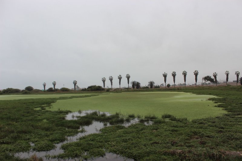 humedales de Quilcay