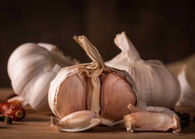 alimentos