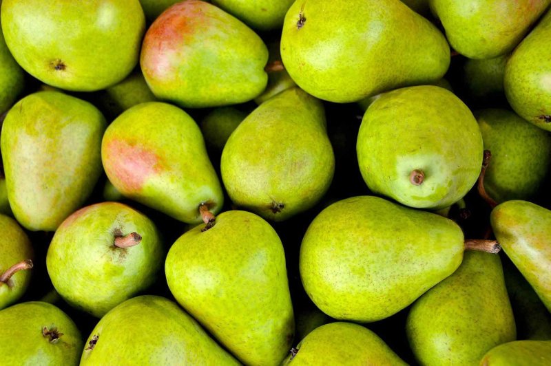 azúcar