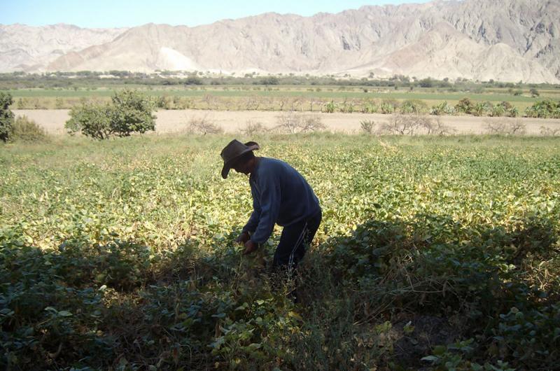 Agricultor. Créditos de la foto: Internet