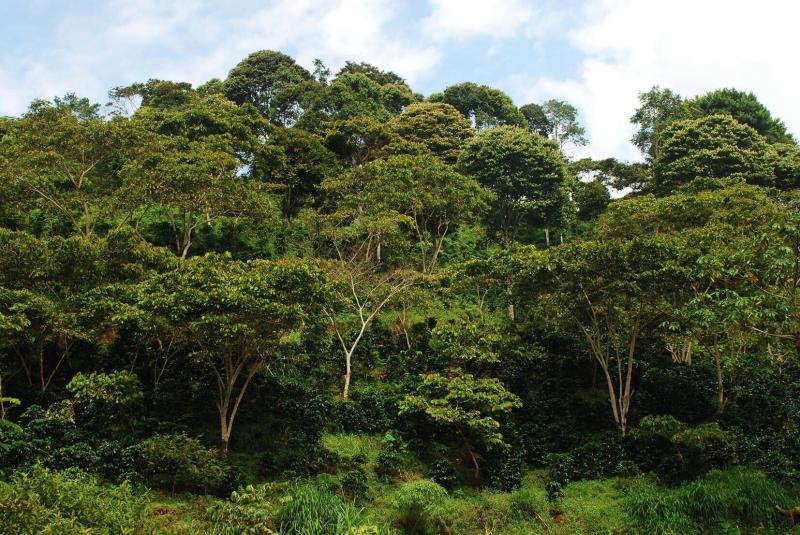 PromPerú